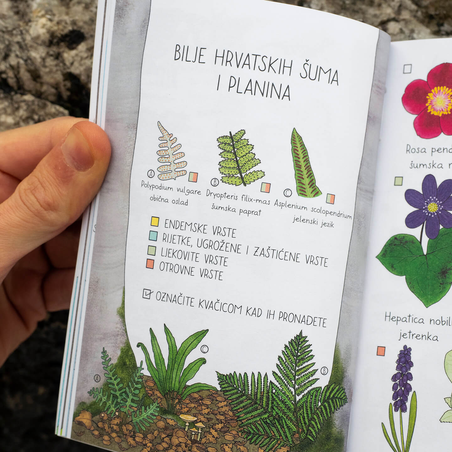 Ilustrirani planinarski dnevnik - Image 12